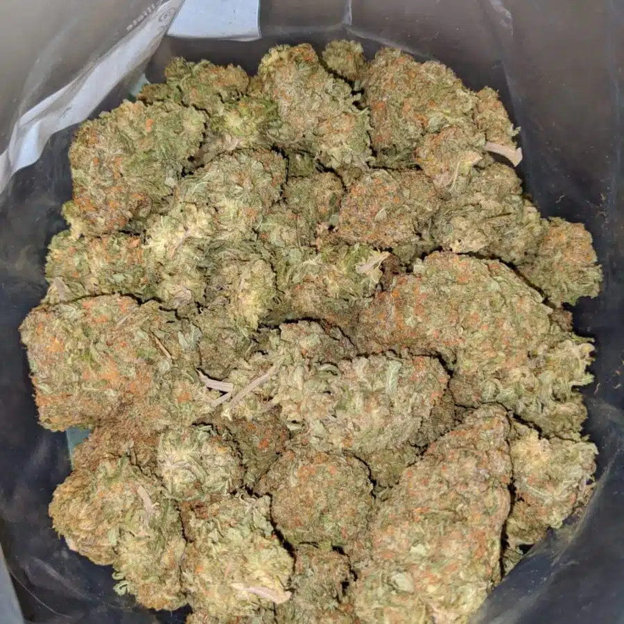 tonys nuken 4 I White Nuken
