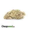 Yellow Kush AA+