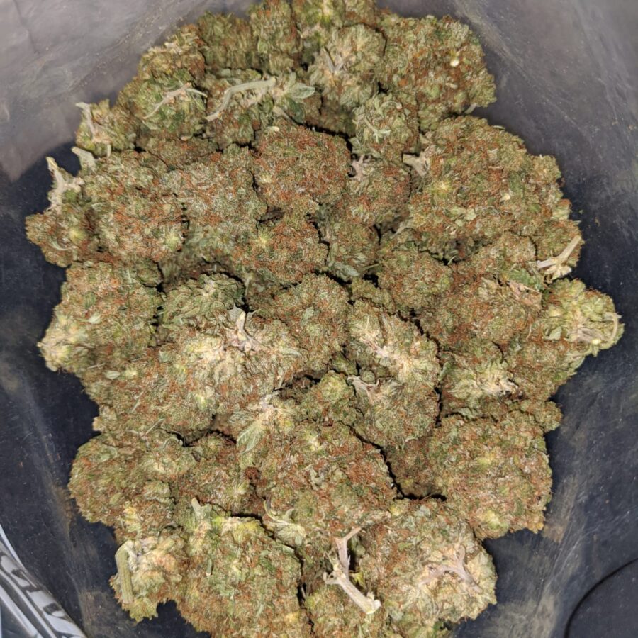 Yoda OG - Image 6