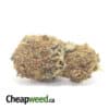 Cheap Sativa #2