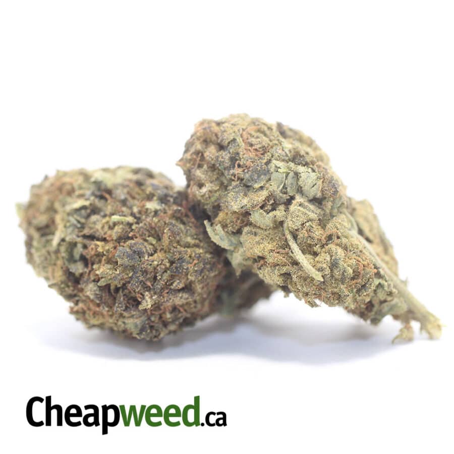 AA CHEAP SATIVA 3 I Cheap Sativa #2