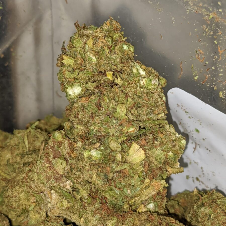 AA Green Poison 1 I AA+ Green Poison