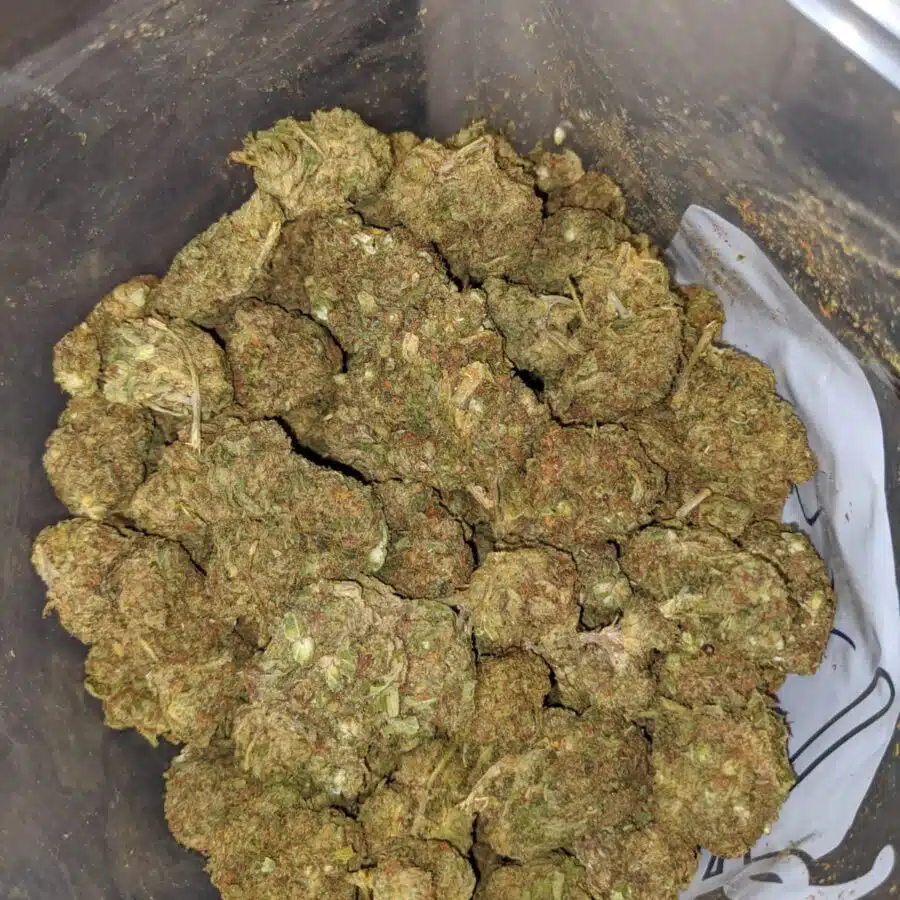 AA Green Poison 3 I AA+ Green Poison