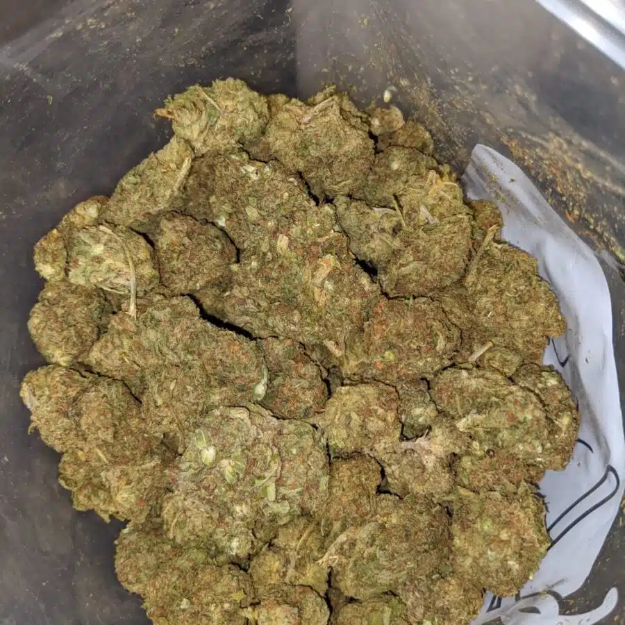 AA Green Poison 4 I AA+ Green Poison