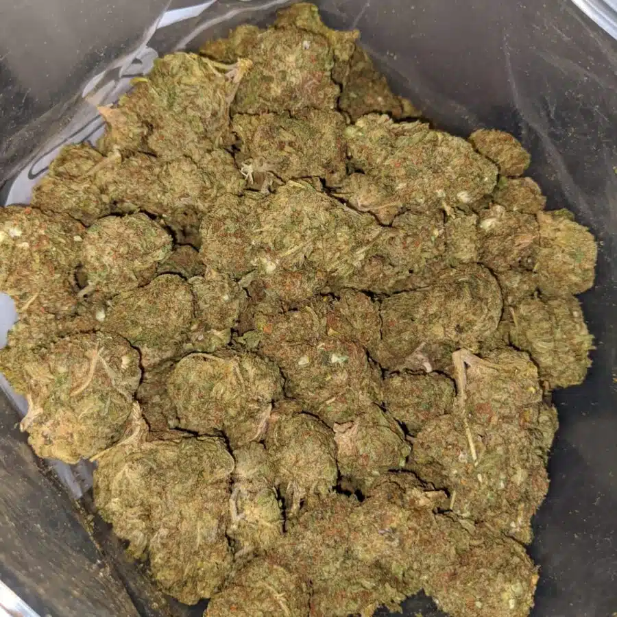 AA Venom OG 4 I Great White Shark - Deal of the Day