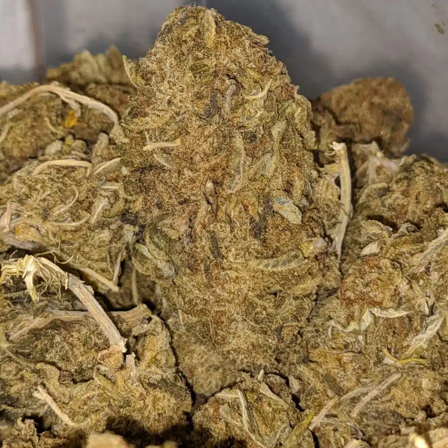 AA WHITE CRACK 1 I AA+ Sour Widow