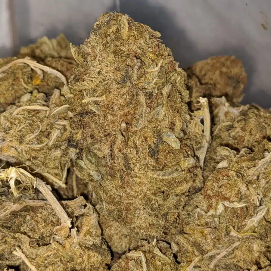 AA WHITE CRACK 2 I AA+ Sour Widow