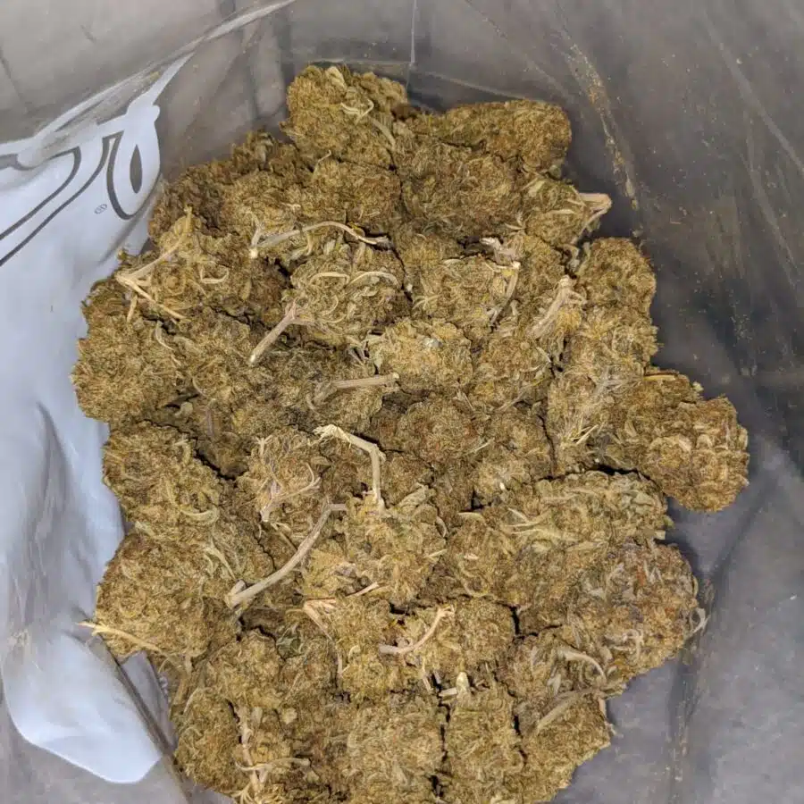 AA WHITE CRACK 4 I AA+ Sour Widow