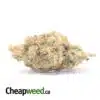 ACDC - *Deal Of The Day*