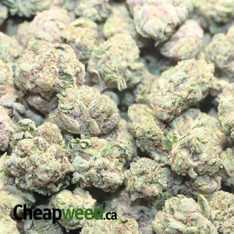 Ace Of Spades (Smalls) - Image 3