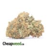 Agent Orange - *Deal Of The Day*