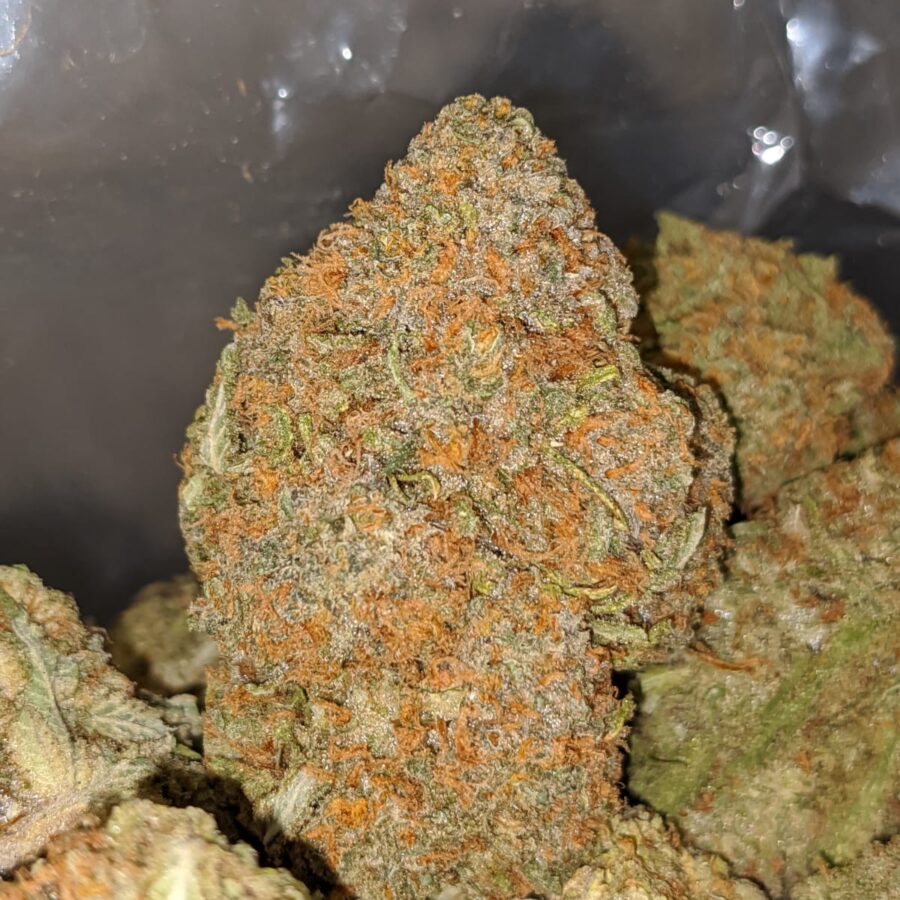 ANIMAL CRACKER 2 I Pineapple Nuken