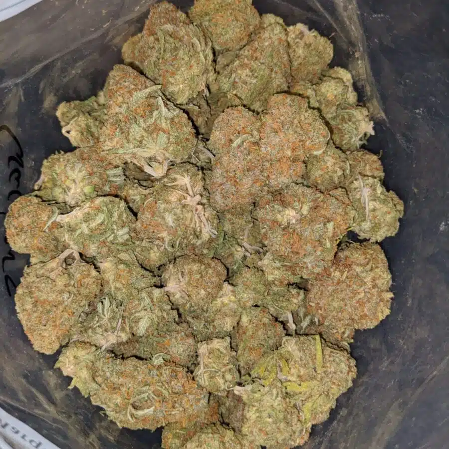 ANIMAL CRACKER 4 I Pineapple Nuken