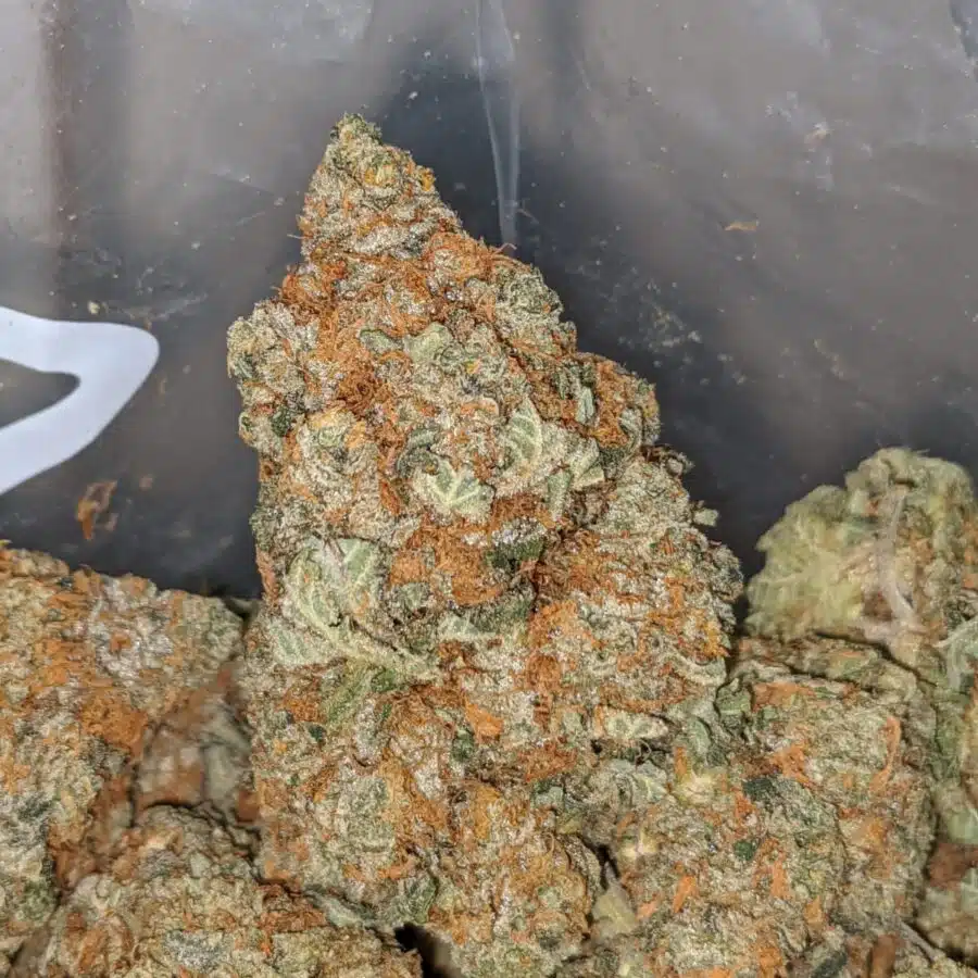 Chemo Kush - Image 4