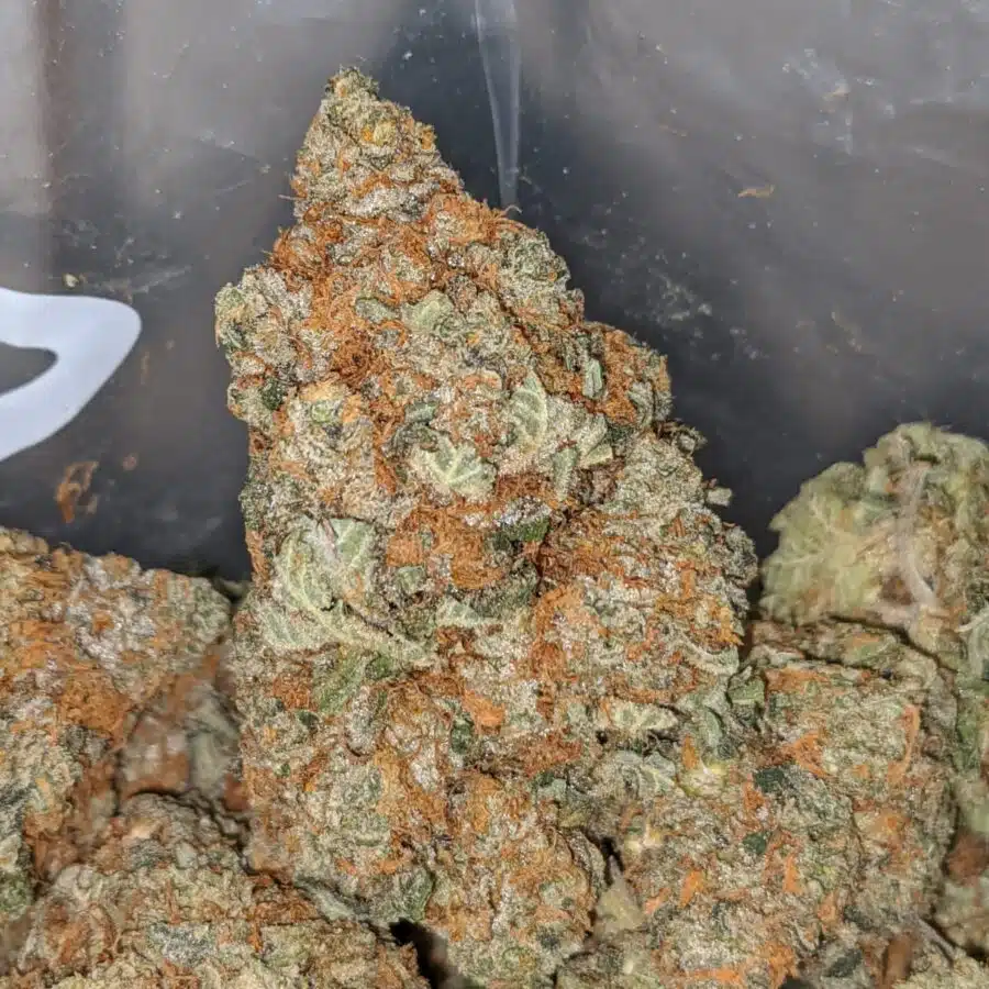 Chemo Kush - Image 3