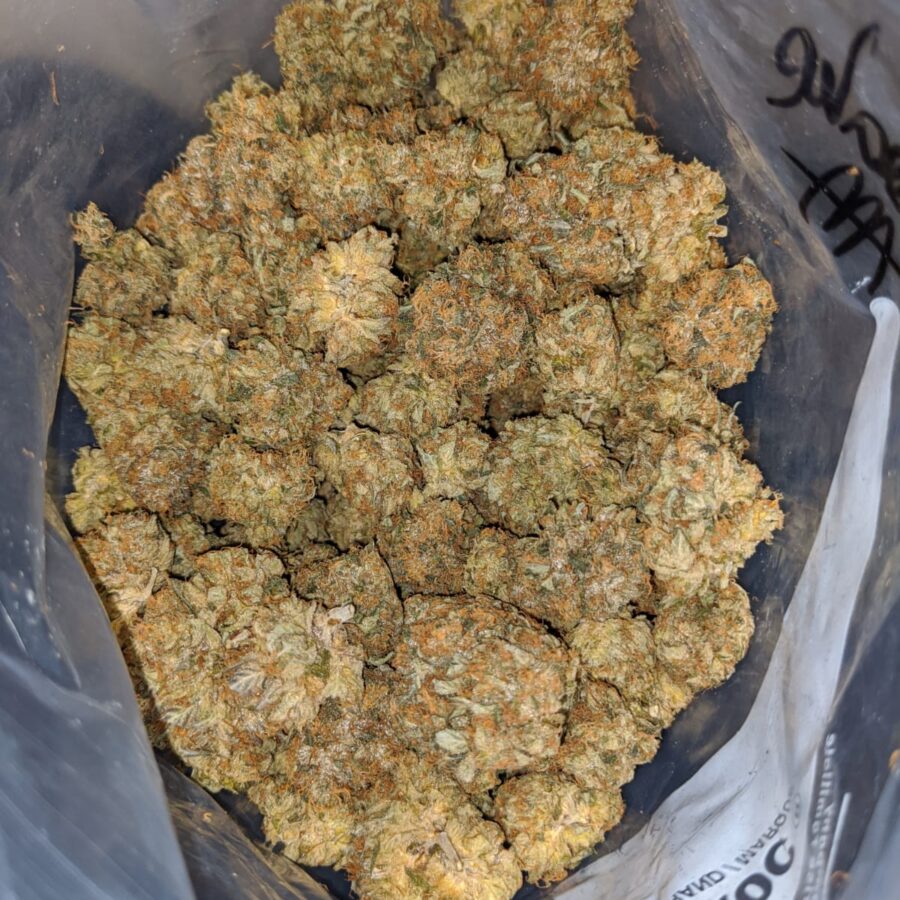 CHEESEQUAKE AAA 3 I UK Cheese - *Deal Of The Day*