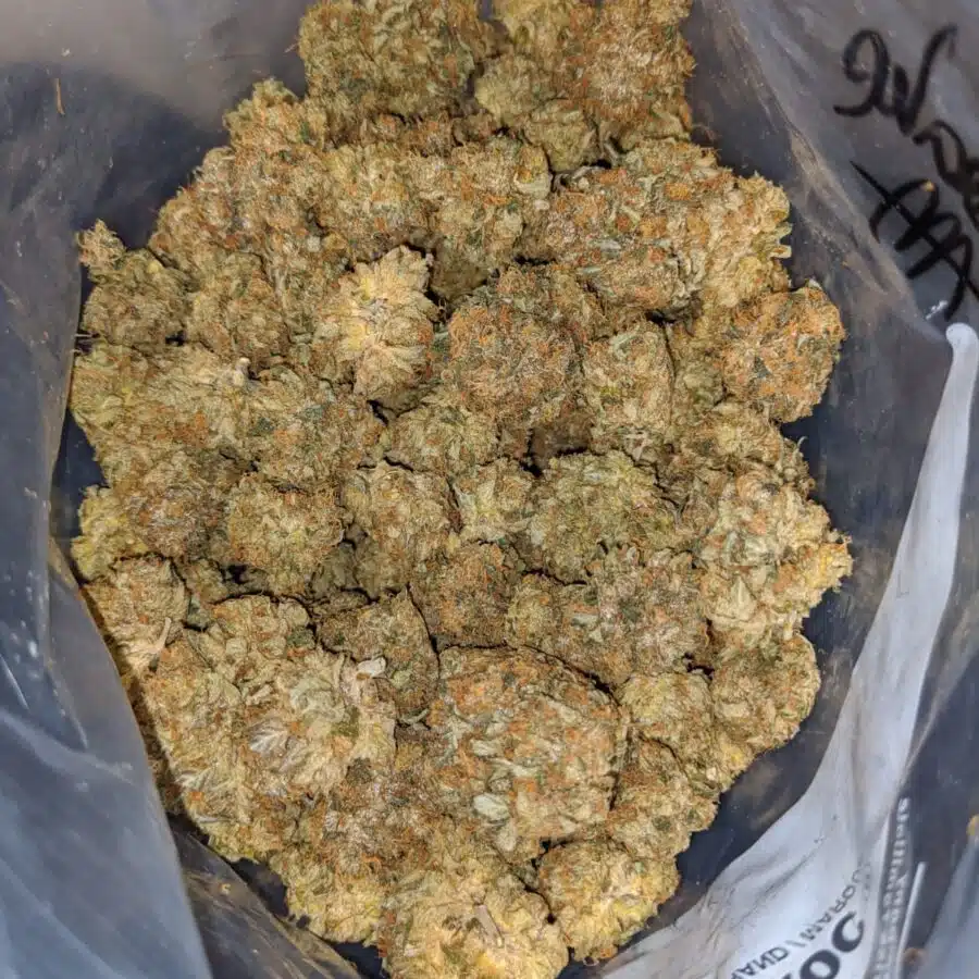 CHEESEQUAKE AAA 3 I UK Cheese - *Deal Of The Day*
