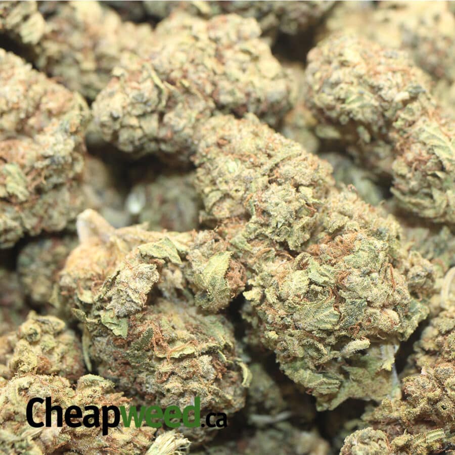 Chem De La Chem AA+ - Image 3