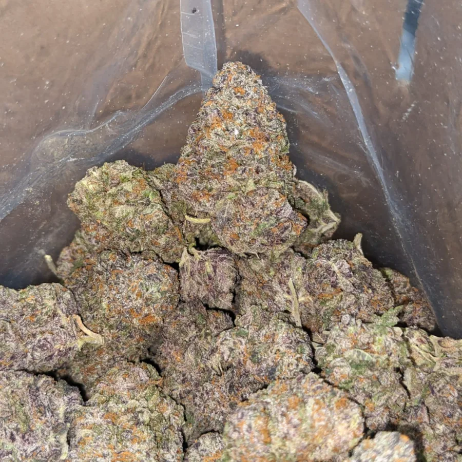 Cherry Punch - Image 5