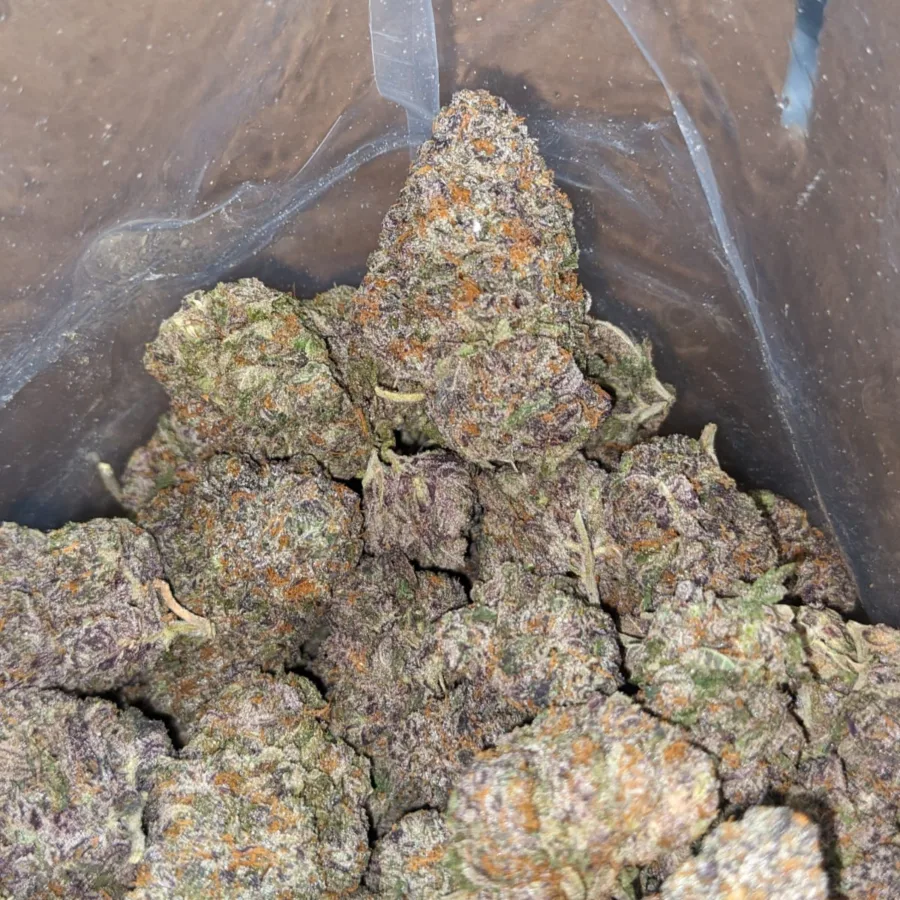 Cherry Punch - Image 7