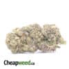 Dragon Breath - *Deal Of The Day*