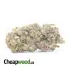 Dragon Breath - *Deal Of The Day*
