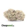 Durban Poison - Deal of the Day