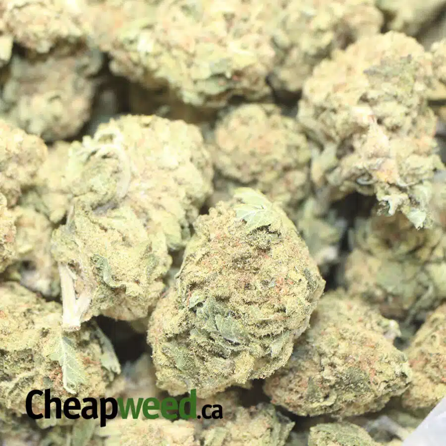 EMMA PARKFIRE 2 I $75 Oz - Parkfire