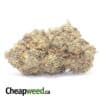 Galactic Haze - *Deal Of The Day*