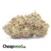 Galactic Haze - *Deal Of The Day*