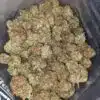 Emma's Chemo Kush