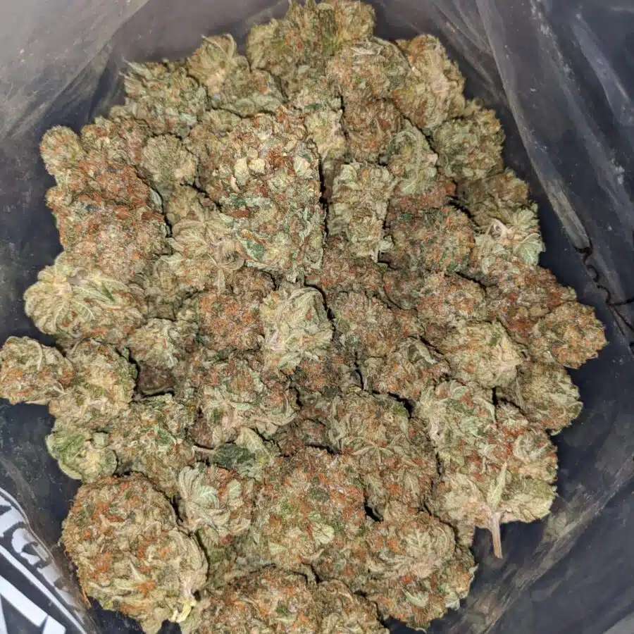 Emma's Chemo Kush
