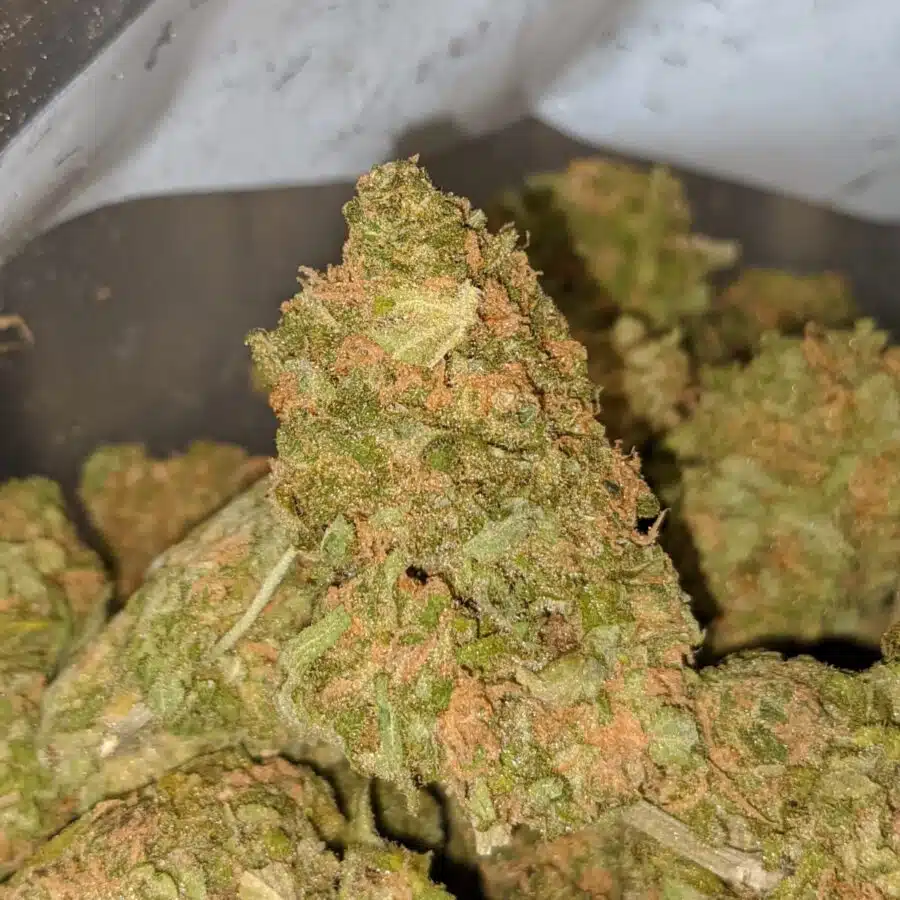 Alternative view of $69oz - Green Nuken