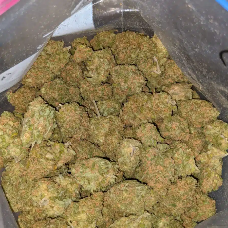 $69oz - Green Nuken