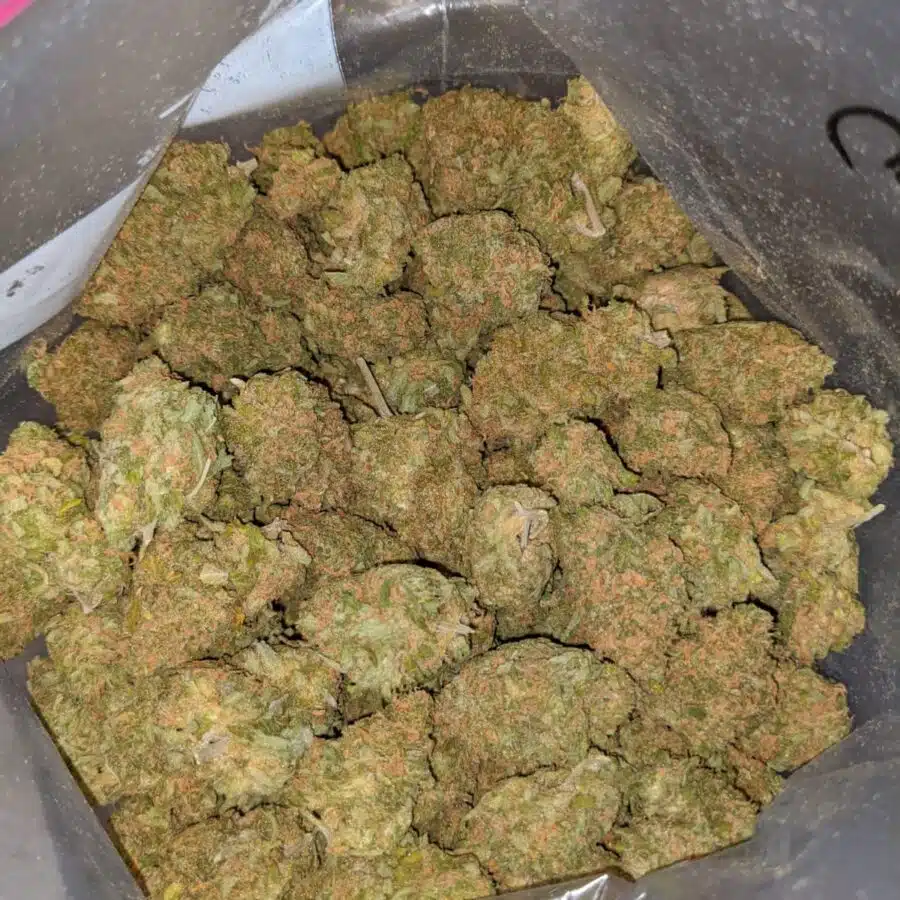 GREEN NUKEN 4 I $69oz - Green Nuken