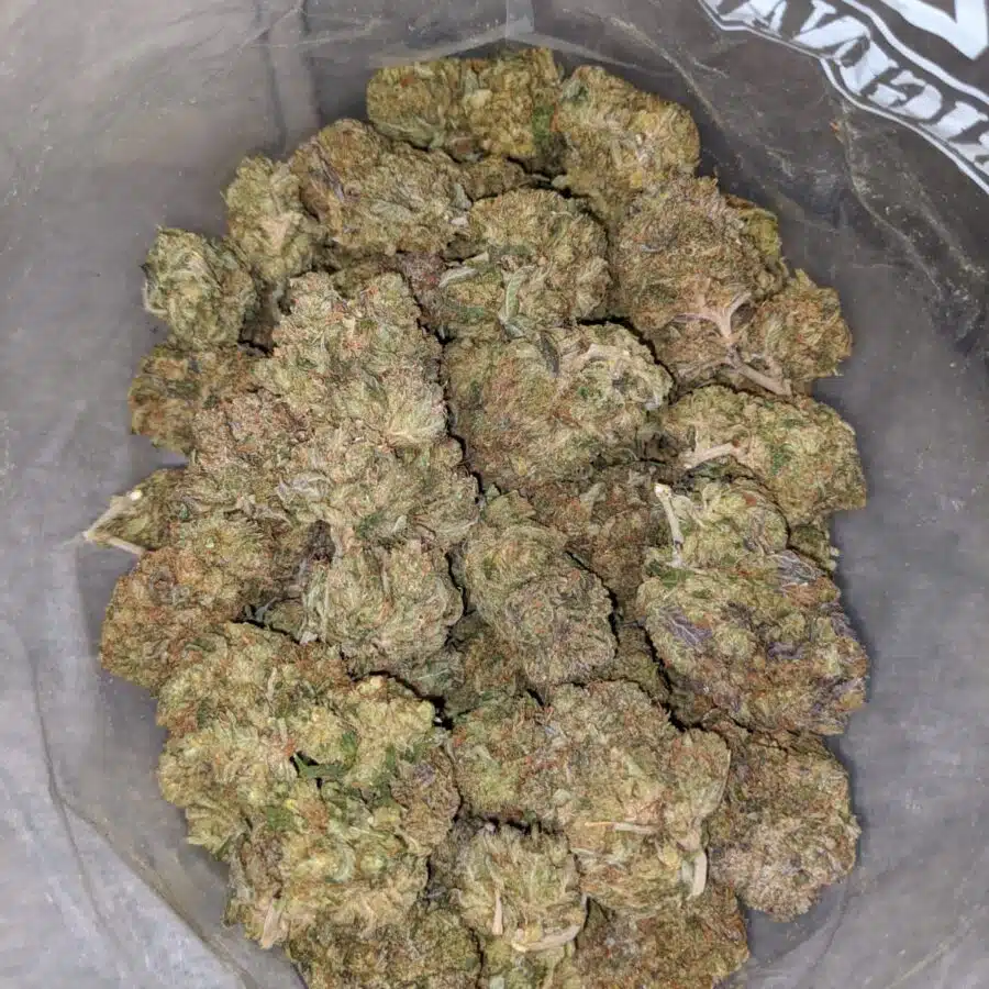 Alternative view of Pink Jetfuel - *Deal Of The Day*