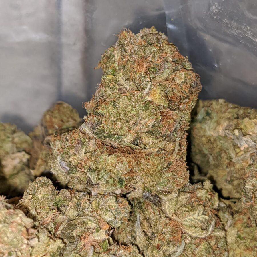Pink Jetfuel - *Deal Of The Day* - Image 5