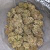 $69 Oz - Jellybean