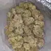 $69 Oz - Jellybean