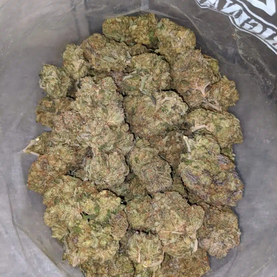 Pink Jetfuel - *Deal Of The Day*