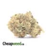Lemon Punch Bulk Special