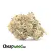 Lemon Punch Bulk Special