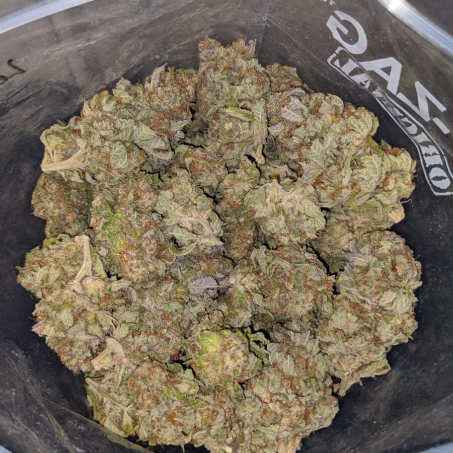 LEMON PUNCH DOD 1 I Raspberry mintz
