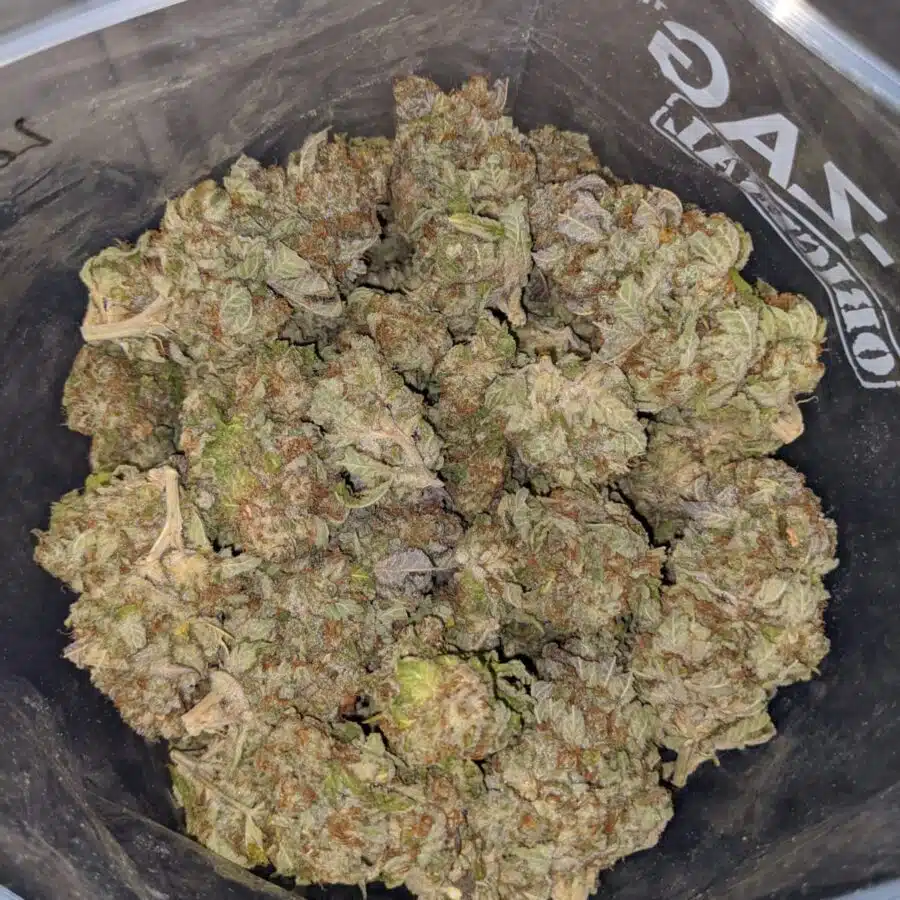 LEMON PUNCH DOD 1 I Raspberry mintz