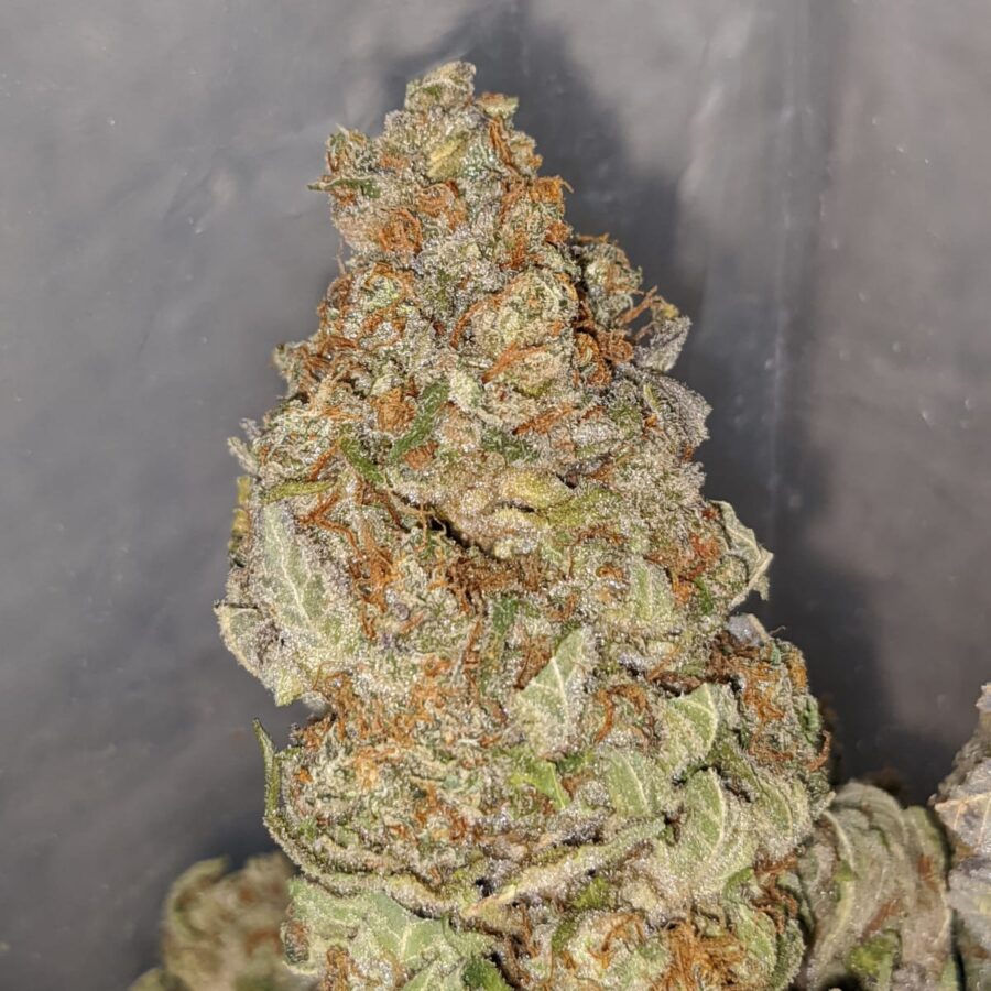 LEMON PUNCH DOD 2 I Raspberry mintz