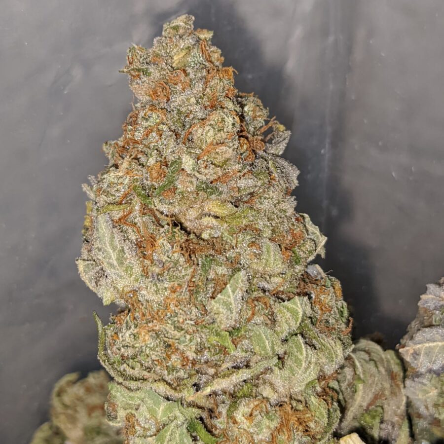 LEMON PUNCH DOD 3 I Raspberry mintz