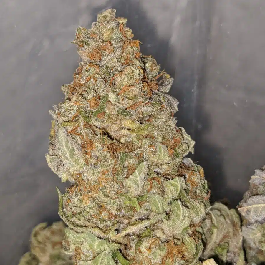 LEMON PUNCH DOD 3 I Raspberry mintz