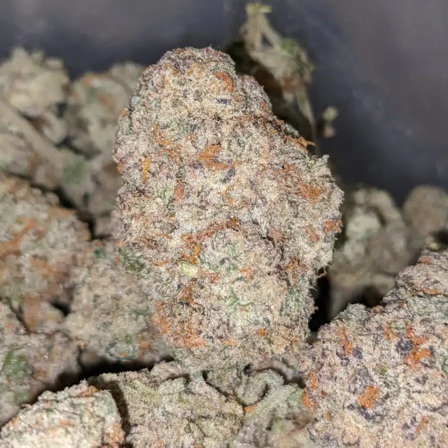 Larry Og 1 I Larry OG