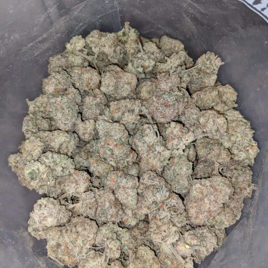 Larry OG