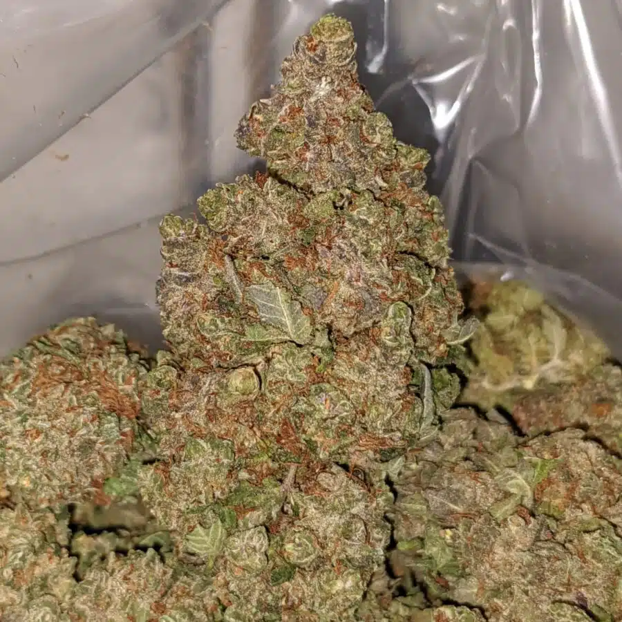MIXED BERRY 1 I $59 oz - Kushberry